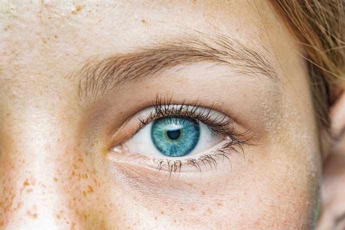 celulas de la retina rescatan la vision diurna en un modelo de retinosis pigmentaria
