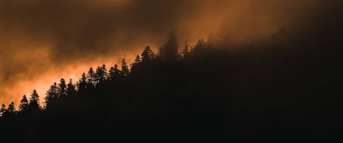 subestiman la mortalidad de las particulas finas de incendios forestales en un 93