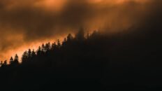 subestiman la mortalidad de las particulas finas de incendios forestales en un 93