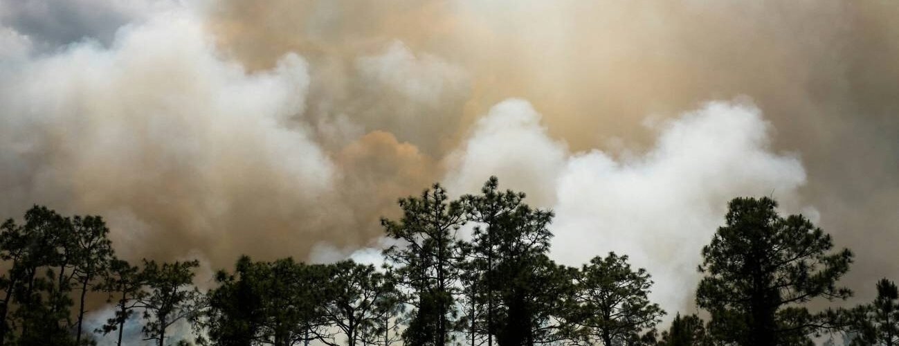 el humo de los incendios aumenta la mortalidad por causas respiratorias