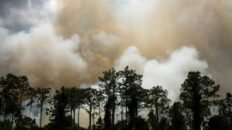 el humo de los incendios aumenta la mortalidad por causas respiratorias