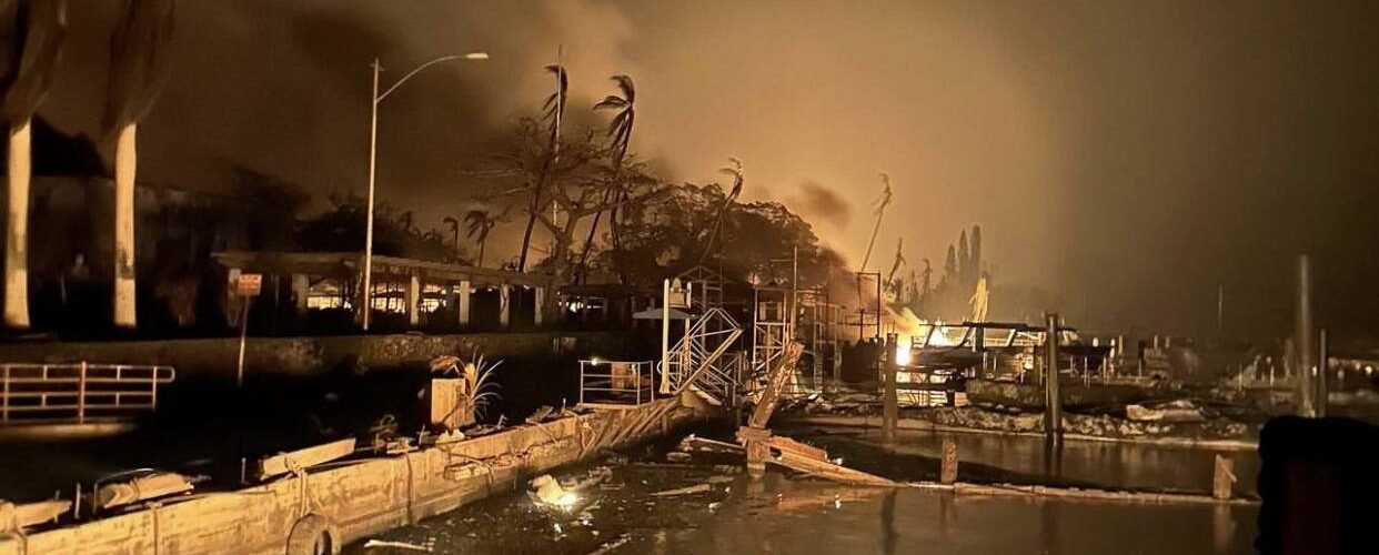los incendios forestales dispararon la mortalidad local hasta un 67 en hawai