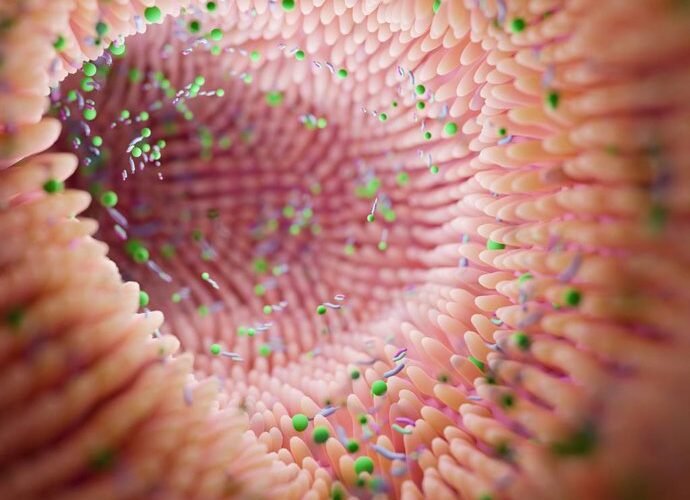 microbiota intestinal ayuda a detectar precozmente el alzheimer
