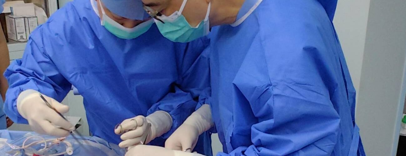 trasplantan por primera vez un pulmon de cerdo a una persona en muerte cerebral