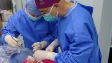 trasplantan por primera vez un pulmon de cerdo a una persona en muerte cerebral