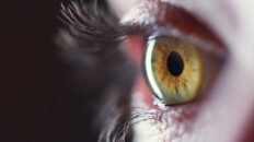 descubren la funcion de un gen clave en enfermedades geneticas oculares raras