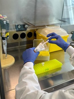 desarrollan el primer biomarcador en sangre que anticipa la progresion hacia el alzheimer