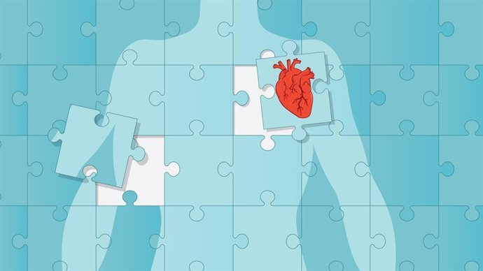 cada hora mueren 13 personas en espana mas de 150 al dia por una enfermedad cardiovascular